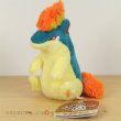 Photo2: Pokemon Center 2019 Pokemon fit Mini Plush #156 Quilava doll Toy (2)