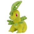 Photo1: Pokemon Center 2019 Pokemon fit Mini Plush #153 Bayleef doll Toy (1)