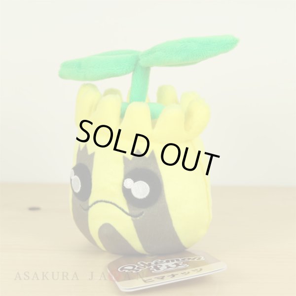 Photo2: Pokemon Center 2019 Pokemon fit Mini Plush #191 Sunkern doll Toy (2)