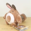 Photo2: Pokemon Center 2019 Pokemon fit Mini Plush #161 Sentret doll Toy (2)