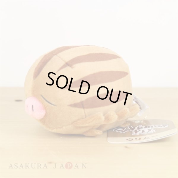 Photo2: Pokemon Center 2019 Pokemon fit Mini Plush #220 Swinub doll Toy (2)