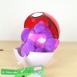 Photo1: Pokemon Center 2019 Petit Plush in Poke Ball Case vol.3 Poipole doll (1)