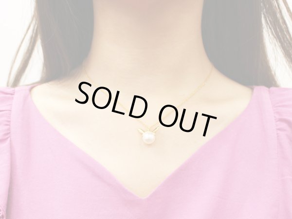 Photo3: Pokemon Center 2019 Pokemon accessory Series Necklace N19 (3)