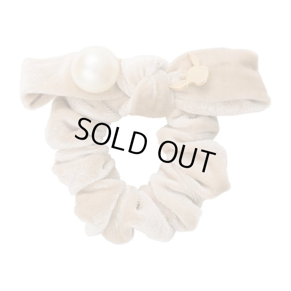 Photo1: Pokemon Center 2019 Pokemon accessory Series Hair bands Scrunchie H14 (1)