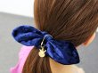 Photo3: Pokemon Center 2019 Pokemon accessory Series Hair bands Scrunchie H16 (3)