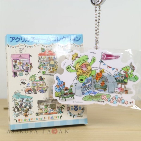 Photo1: Pokemon Center 2019 Pokemon World Market Acrylic Charm #3 Hoenn region (1)