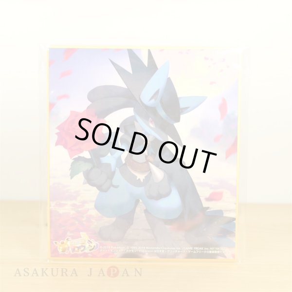 Photo1: Pokemon Center 2019 Halloween Festival Trainer Riley Lucario Shikishi Art picture #1 (1)