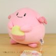 Photo2: Pokemon 2018 ALL STAR COLLECTION Chansey Plush Toy SAN-EI (2)