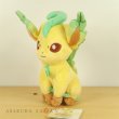 Photo2: Pokemon 2019 ALL STAR COLLECTION Leafeon Plush Toy SAN-EI (2)