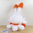 Photo7: Pokemon Center 2019 Plush doll Grookey Scorbunny Sobble 3 set (7)