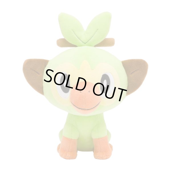 Photo1: Pokemon Center 2019 Plush doll Grookey (1)