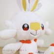 Photo6: Pokemon Center 2019 Plush doll Scorbunny (6)