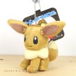 Photo2: Pokemon Center 2019 Plush Mascot Key Chain Eevee Standing (2)