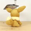 Photo3: Pokemon Center 2019 Plush Mascot Key Chain Eevee Standing (3)
