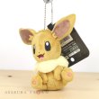 Photo2: Pokemon Center 2019 Plush Mascot Key Chain Eevee Sitting (2)