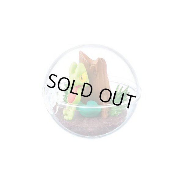 Photo7: Pokemon 2019 Terrarium Collection vol.6 set of 6 Figure Complete set Mini Figure (7)