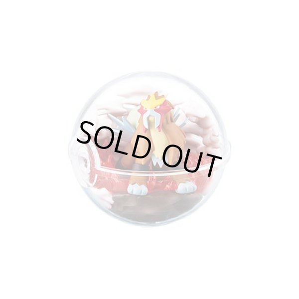 Photo4: Pokemon 2019 Terrarium Collection vol.6 set of 6 Figure Complete set Mini Figure (4)