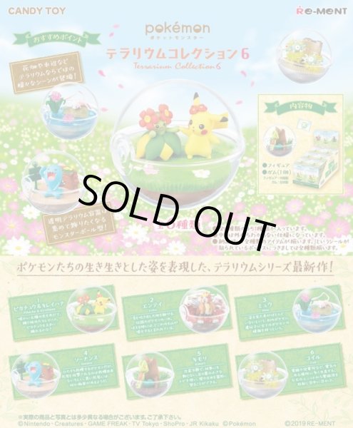 Photo2: Pokemon 2019 Terrarium Collection vol.6 set of 6 Figure Complete set Mini Figure (2)
