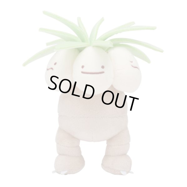 Photo1: Pokemon Center 2019 Plush Toy Transform Ditto Exeggutor (1)