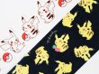 Photo3: Pokemon Center 2019 Pikachu & Razz Berry campaign Sticky Paper Masking Tape (3)