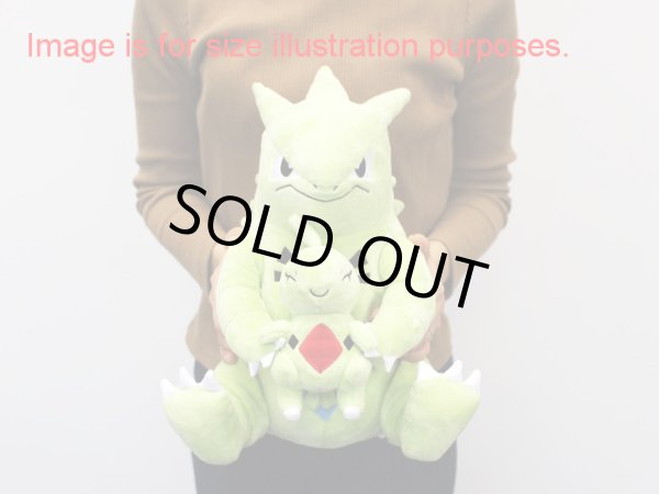 Photo7: Pokemon Center 2019 TAIKI-BANSEI Plush doll Hugging Dratini & Dragonite (7)