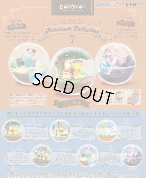 Photo3: Pokemon 2019 Terrarium Collection vol.7 set of 6 Figure Complete set Mini Figure (3)