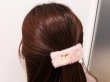 Photo4: Pokemon Center 2019 Pokemon accessory Series Hair clip H26 (4)