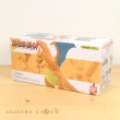 Photo1: BANDAI POKEMON SCALE WORLD Kanto edition "Charizard" 1/20 Figure (1)