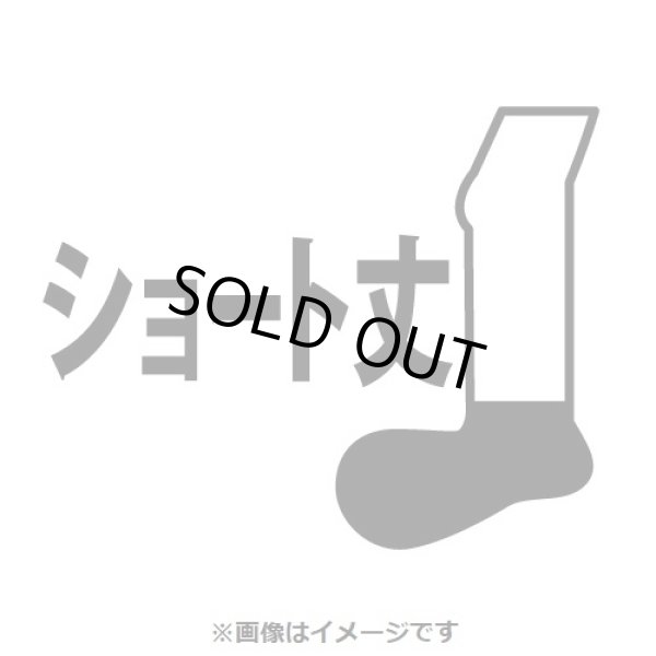 Photo4: Pokemon Center 2019 Socks for Women 23 - 25 cm 1 Pair Short socks Sobble Charcoal Gray (4)