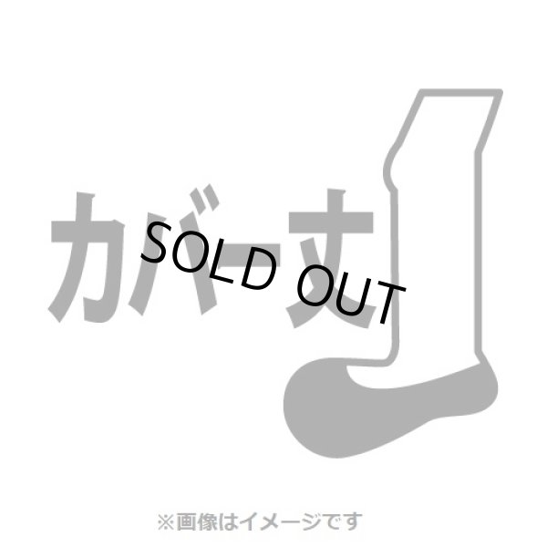 Photo4: Pokemon Center 2019 Socks for Men 25 - 27 cm 1 Pair Cover socks Pikachu Black (4)