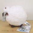 Photo3: Pokemon Center 2019 Plush doll Wooloo (3)