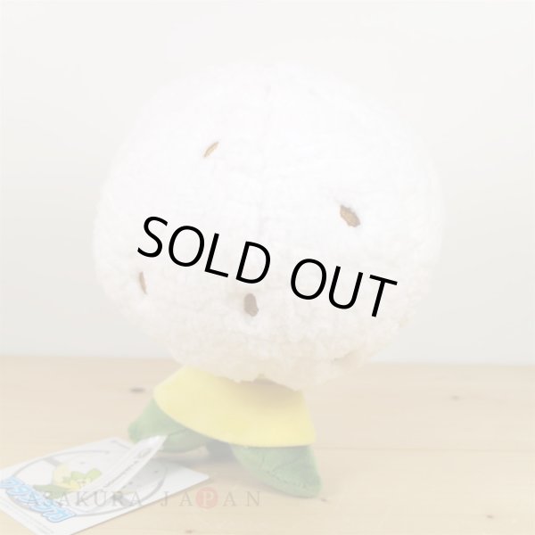 Photo3: Pokemon Center 2019 Plush doll Eldegoss (3)