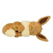 Photo1: Pokemon Center 2019 Plush doll Eevee Sleeping ver. 2 (1)