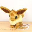 Photo2: Pokemon Center 2019 Plush doll Eevee Standing ver. 2 (2)