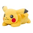 Photo1: Pokemon Center 2019 FUWA-FUWA Fluffy Plush doll Pikachu (1)