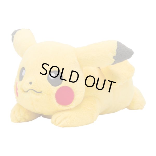 Photo1: Pokemon Center 2019 FUWA-FUWA Fluffy Plush doll Pikachu (1)