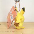 Photo3: Pokemon Center 2020 Plush Mascot Key Chain HOPPE DAISHUGO Pikachu (3)