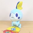 Photo2: Pokemon Center 2020 POKEMON DOLLS Plush doll Sobble (2)