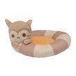 Photo1: Pokemon Center 2020 POKEMON DOLLS HOUSE Furret cushion for Plush Mascot (1)
