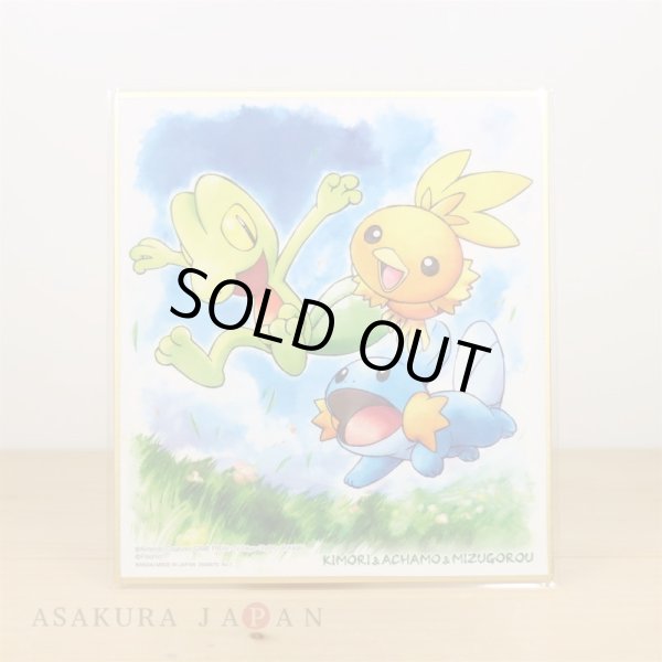 Photo1: Pokemon 2019 BANDAI Shikishi Art picture 3 No.1 Treecko & Torchic & Mudkip (1)