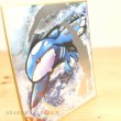 Photo2: Pokemon 2019 BANDAI Shikishi Art picture 3 No.15 Kyogre Silver tooling ver. (2)