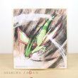 Photo1: Pokemon 2019 BANDAI Shikishi Art picture 3 No.8 Flygon (1)