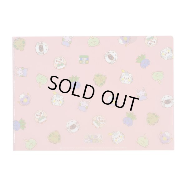 Photo2: Pokemon Center 2020 MOTCHIRI MANMARU A4 Size Clear File Folder (2)