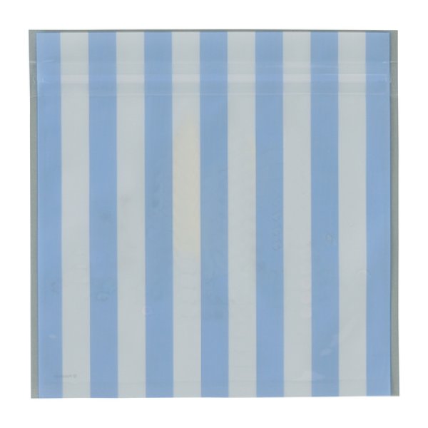 Photo3: Pokemon Center 2020 Flowers in full bloom Pikachu Zipper bag 5 sheets set (3)