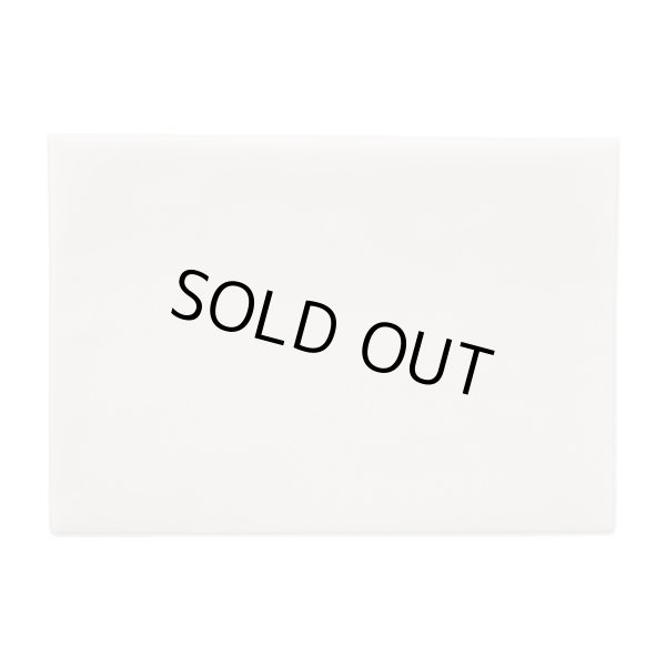 Photo2: Pokemon Center 2020 Pikachu Cherry Blossoms campaign Document case White (2)