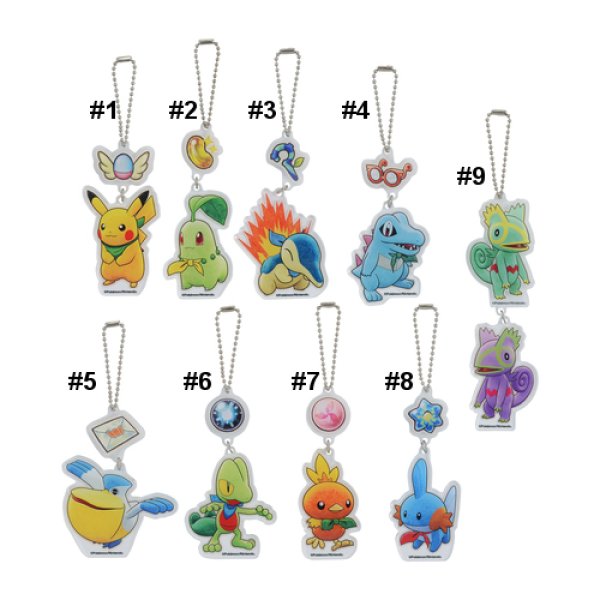 Photo4: Pokemon Center 2020 Mystery Dungeon Rescue Team DX Acrylic Key chain A #9 Kecleon (4)