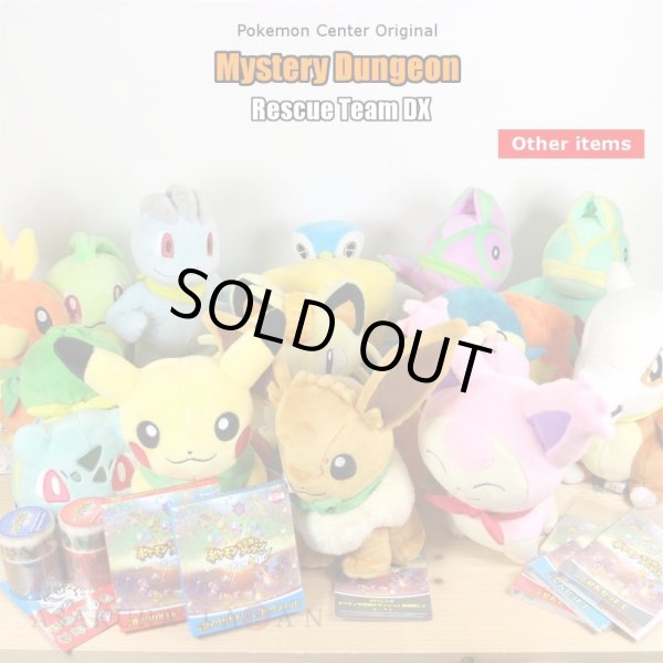 Photo4: Pokemon Center 2020 Mystery Dungeon Rescue Team DX Acrylic Key chain B #8 Cubone (4)