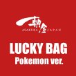 Photo1: LUCKY BAG Pokemon ver. (1)