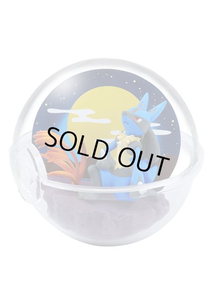 Photo5: Pokemon 2020 Terrarium Collection Four Seasons set of 6 figures Complete set (5)