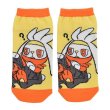 Photo1: Pokemon Center 2020 Pokemon Galar Tabi Socks for Women 23-25 cm 1 Pair Raboot (1)